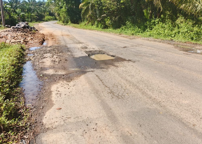 Baru Sebulan Diperbaiki, Jalinbar Bengkulu-Tais Rusak Lagi, Warga Soroti Kualitas Proyek Rp18 M