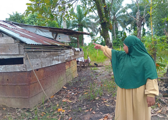 Misteri Kematian Abiyu dan Arjuna: Tak Sedang Mancing, Warga Sebut Cari Tokek