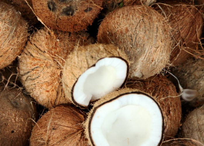 Perlu Tahu, Ini Efek Samping Lain Kelapa bagi Kesehatan, Hati-hati Berlebihan