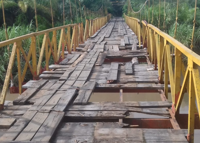 Ancam Keselamatan Warga, Jembatan Gantung Taba Pasemah Sudah Saatnya Diperbaiki! 