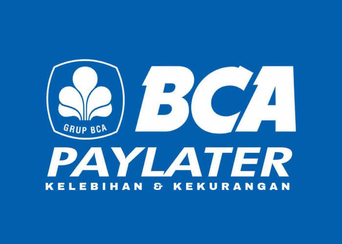 Wajib Tahu Sebelum Aktivasi! Inilah Kelebihan dan Kekurangan BCA PayLater