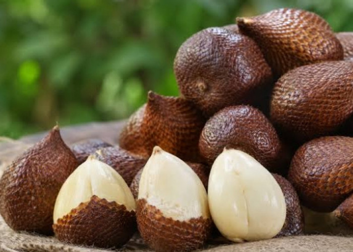 Tak hanya Dikonsumsi, Ini Dia Manfaat dari Penggunaan Buah Salak untuk Kecantikan Kulit 