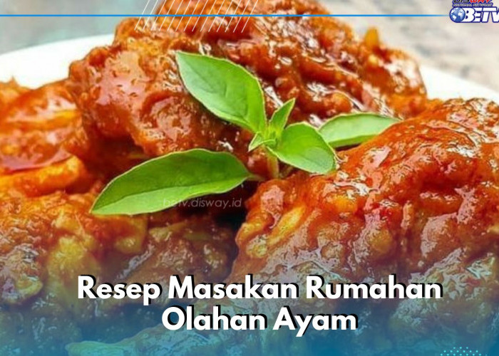 Resep Masakan Olahan Ayam Lezat dan Nikmat, Cek Rekomendasinya di Sini