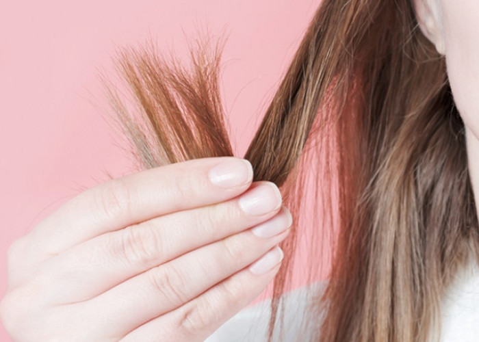 Rambut Bercabang Susah Teratasi? Coba Lakukan 3 Langkah Perawatan Tepat Ini!