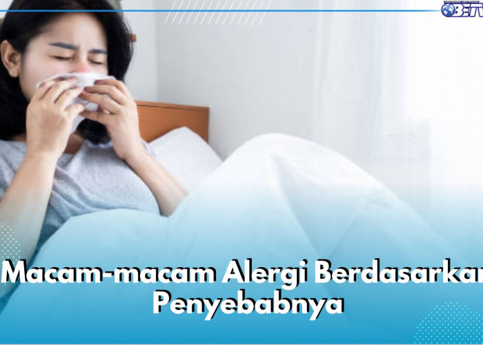 Kenali Macam-Macam Alergi Berdasarkan Penyebabnya, Ada Alergi Makanan hingga Obat