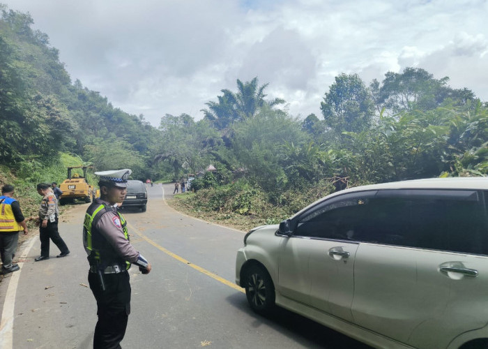 Cegah Korban Jiwa, Tim Gabungan Pangkas Pohon Rawan Tumbang di Lintas Kepahiang-Bengkulu
