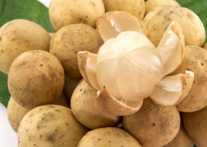 Cek Manfaat Buah Duku untuk Kesehatan, Kaya Vitamin dan Baik bagi Pencernaan