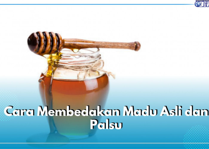 Jangan Sampai Tertipu, Begini 5 Cara Sederhana Bedakan Madu Asli dan Palsu