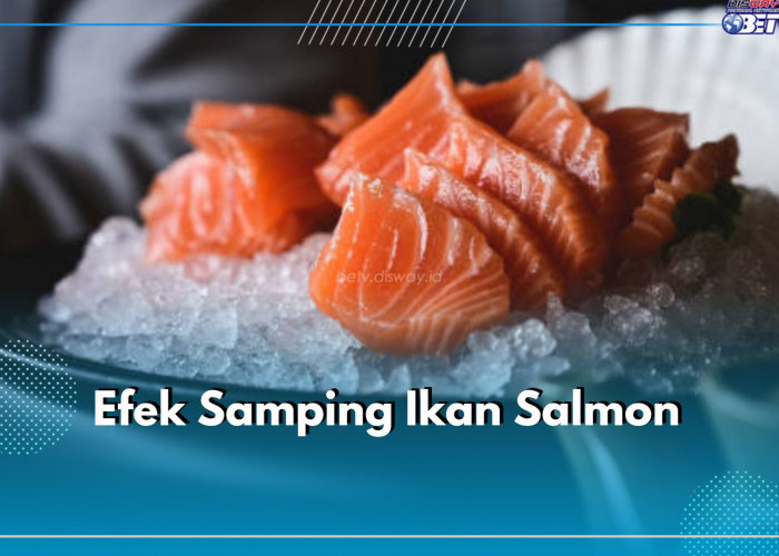 Jangan Berlebihan, Mengonsumsi Ikan Salmon Mentah Dapat Menimbulkan Efek Samping, Cek di Sini