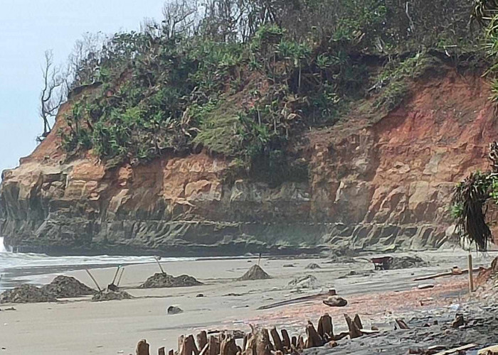 Tambang Pasir Pantai Laut Ilegal Menjamur di Bengkulu Utara