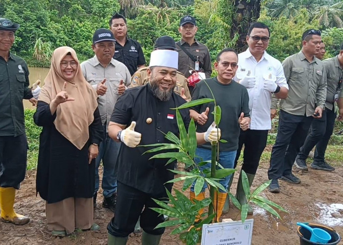 Pemprov Luncurkan Gerakan Penanaman Pohon Serentak se-Provinsi Bengkulu