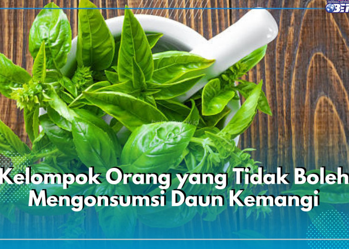 5 Kelompok Orang Ini Tak Boleh Konsumsi Daun Kemangi, Salah Satunya Ibu Hamil