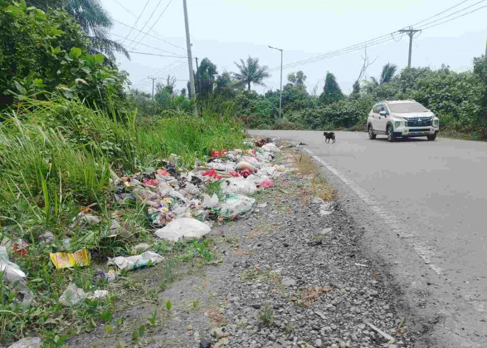Pinggir Jalan Line 1 Pelabuhan Pulau Baai Ditumpuki Sampah, Diduga Sengaja Dibuang Orang Tak Bertanggung Jawab