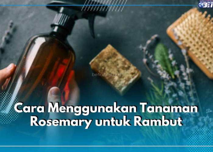 Simpel Anti Ribet, Begini 5 Cara Gunakan Tanaman Rosemary untuk Rawat Rambut