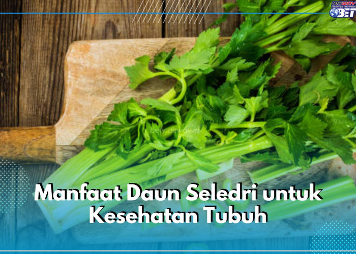 Jadi Sumber Antioksidan, Ini 6 Manfaat Daun Seledri untuk Kesehatan