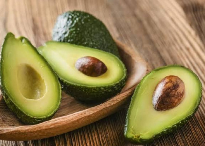 Taukah Kamu? Buah Alpukat Miliki Ragam Fakta Unik Tersembunyi, Cek Sekarang!