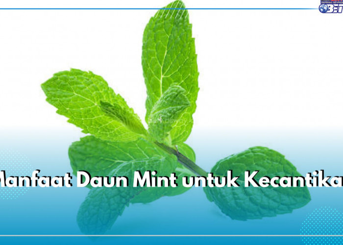 Ampuh Atasi Jerawat, Intip Sederet Manfaat Lain Daun Mint untuk Kecantikan 