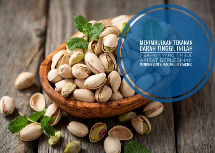 Menimbulkan Tekanan Darah Tinggi, Inilah 7 Bahaya yang Timbul Akibat Berlebihan Mengonsumsi Kacang Pistachio