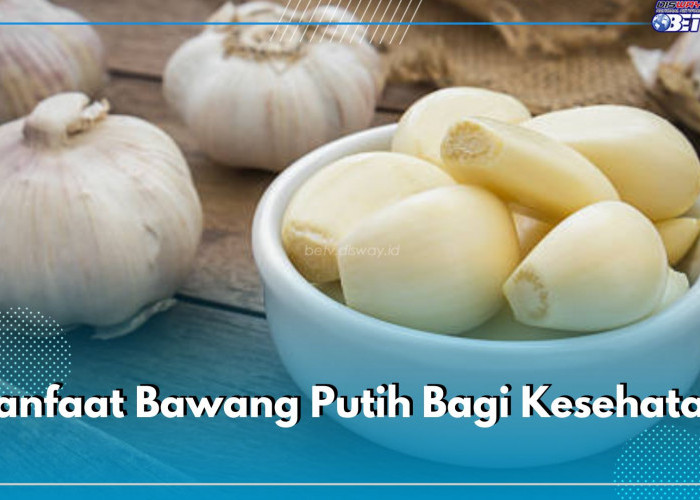 8 Manfaat Bawang Putih Bagi Kesehatan, Kandungannya Jitu Menangkal Batuk hingga Mengendalikan Tekanan Darah