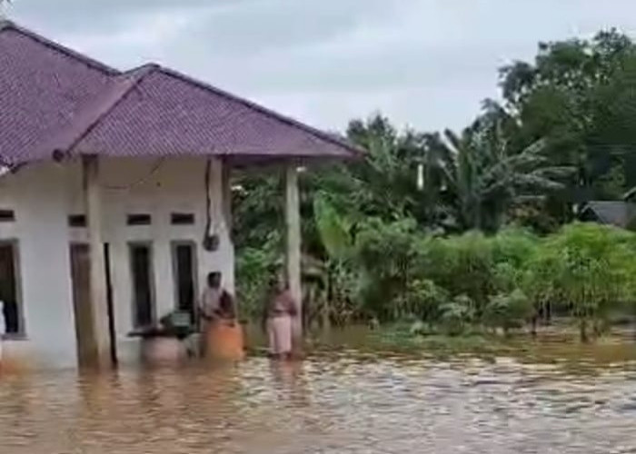 Dinkes Kota Bengkulu Imbau Warga Waspada Penyakit Pasca Banjir