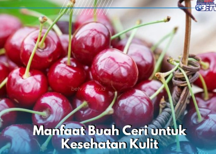 Memiliki Efek Antipenuaan, Ini Manfaat Konsumsi Buah Ceri bagi Kesehatan Kulit