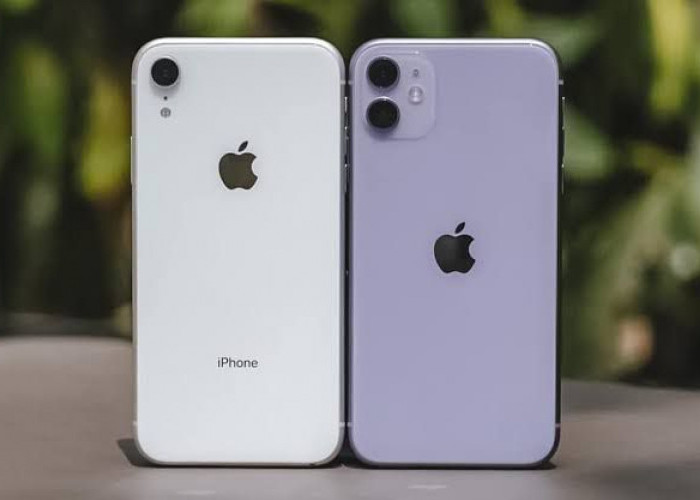 iPhone XR atau iPhone 11? Cek Perbandingan Spesifikasi dan Harganya di sini