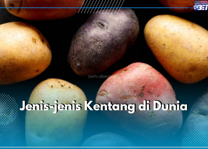 Inilah 7 Jenis Kentang di Dunia, Salah Satunya Kentang Dieng dari Indonesia