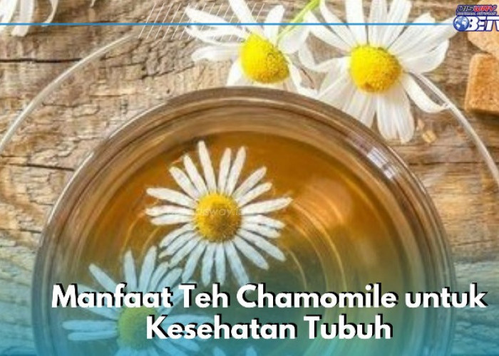 Manfaat Lain Teh Chamomile yang Jarang Diketahui, Mampu Meredakan Gejala Flu