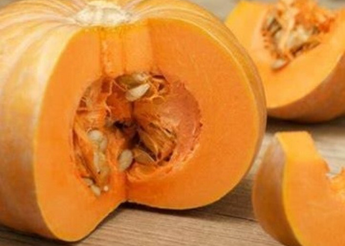 Cek di Sini! Manfaat Labu Kuning untuk Kesehatan Tubuh, Kaya Nutrisi dan Mudah Diolah