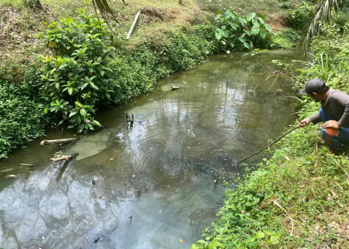 Polres Seluma Uji Lab Air Sungai Gasan, Dalami Dugaan Pencemaran Limbah PT AIP