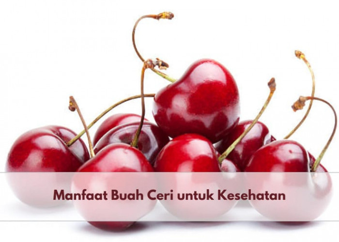 Tidak Terduga, Ternyata Ini Manfaat Buah Ceri untuk Kesehatan, Si Kecil dengan Nutrisi Melimpah