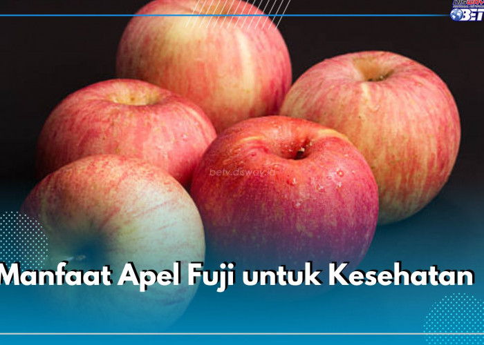 Ngemil Apel Fuji di Pagi Hari, Ini Manfaatnya Buat Kesehatan