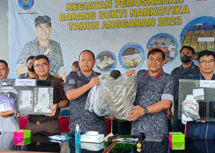 BNN Provinsi Bengkulu Musnahkan 5 Kg Ganja Kering, 2 Pelaku Ditangkap