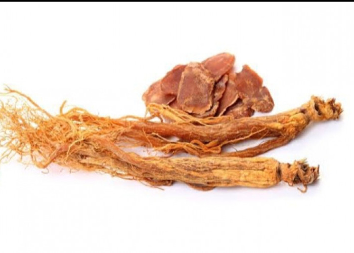 Bantu Atasi Kulit Hitam dengan Ginseng, Ini Manfaatnya untuk Kecantikan