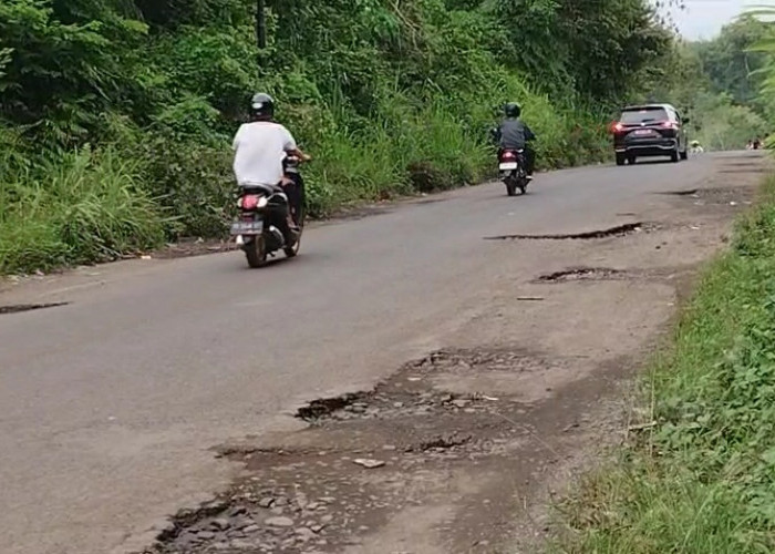 Truk Batu Bara Over Tonase Masih Marak, Pemprov Bengkulu Mulai Lakukan Pendataan dan Penertiban
