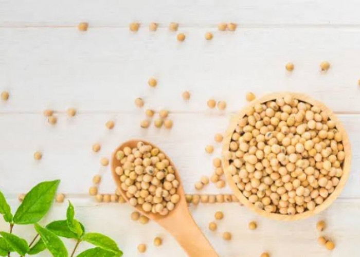 Kacang Kedelai Tawarkan Segudang Manfaat untuk Menjaga Kesehatan Tubuh Anda, Penasaran?