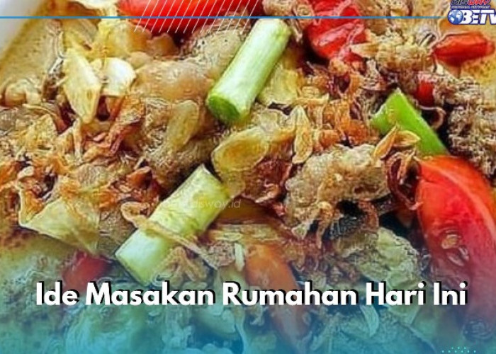 Ide Masakan Hari Ini, Cobain Resep Ayam Kecap Kuah Santan, Dijamin Bikin Nagih