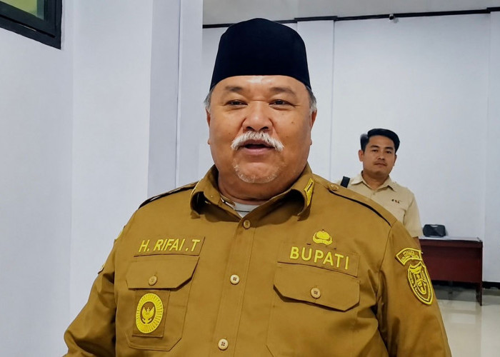 Dilirik Pasar Internasional, Komoditas Niur Bengkulu Selatan Didorong untuk Ekspor