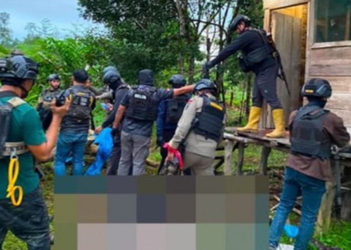 Operasi di Yahukimo Berujung Kontak Senjata, Satgas Damai Cartenz Sebut 3 Anggota KKB Tewas