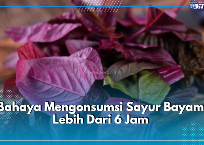 Jangan Dipanaskan Lagi! Ini Bahaya Mengonsumsi Sayur Bayam Lebih Dari 6 Jam, Picu Berbagai Masalah Kesehatan