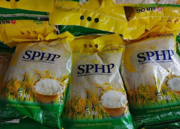 Bulog Stok Peredaran Beras SPHP di Bengkulu, Jaga Harga Pasaran di Musim Penen  