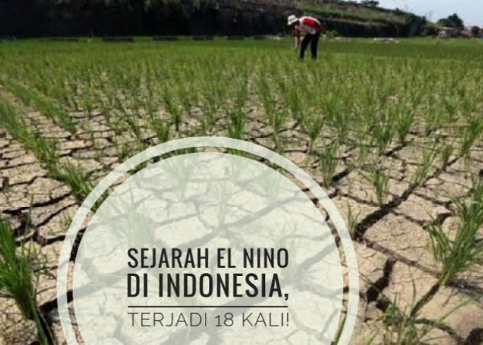 SEJARAH El Nino di Indonesia, 18 Kali Terjadi, Ini Tahun Terparah