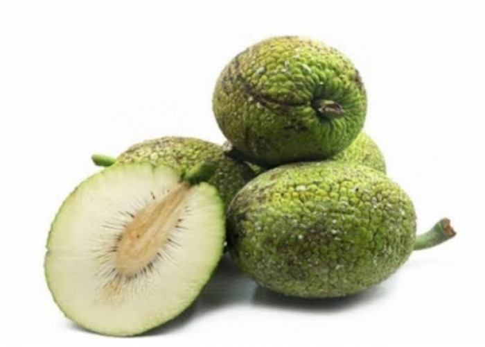 Kamu Penderita Diabetes tapi Ingin Konsumsi Sukun? Coba Gunakan Cara Ini untuk Mengolahnya!