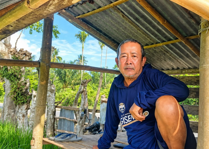Alokasi Pupuk Phonska Subsidi Tersendat, Petani Padi Bengkulu Selatan Terancam Gagal Panen