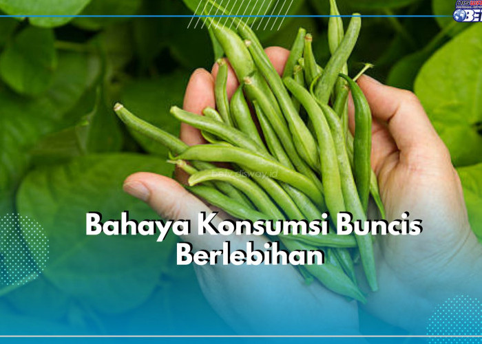 Waspadai! Konsumsi Buncis Secara Berlebihan dapat Memicu Timbul Efek Samping Berbahaya, Cek Disini!