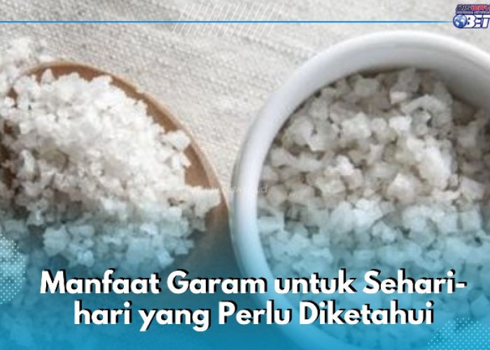 Manfaat Garam untuk Sehari-hari, Ternyata Dapat Menjaga Kesehatan Mulut, Kamu Perlu Tahu