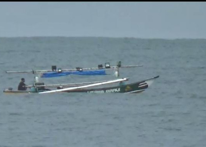 1.426 Nelayan di Kaur Bengkulu Legal Tangkap Benih Lobster 