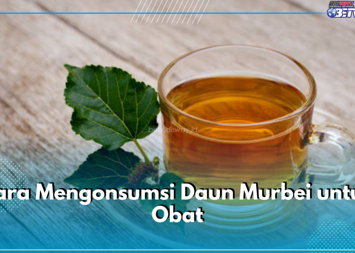 Ini 6 Cara Konsumsi Daun Murbei sebagai Obat, Dibuat Teh hingga Dalam Bentuk Suplemen