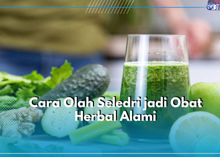 Gampang Banget! Simak Disini Cara Olah Seledri jadi Obat Herbal Alami, Ada Jus hingga Teh Seledri