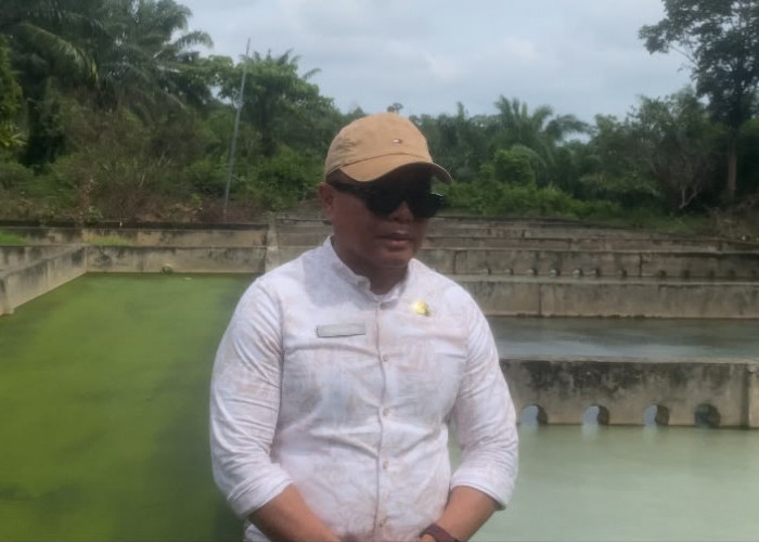 DLHK BS Perketat Pengawasan Limbah PKS, Data Produksi CPO Akan Diminta dari Perusahaan